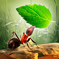 Little Ant Colony(ССȺƽ)