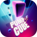 Pump Cube(ĿԾ)0.20׿°