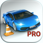ʵͣģ16ƽ棨Real Car Parking Simulator 16 Pro1.03.005İ