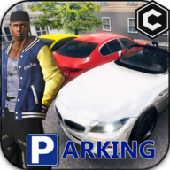 Real Parking - OpenWord Parking Game(ʵͣ޽Ұ)