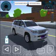 Land Cruiser Hilux Car Game 2021(ѲŞʿ܇)0.1oV