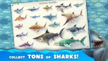 ʰ2024(Hungry Shark)ͼ1