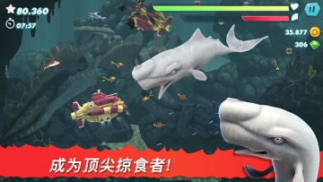 Hungry Shark(饥饿鲨进化国际版全无限破解版)截图1