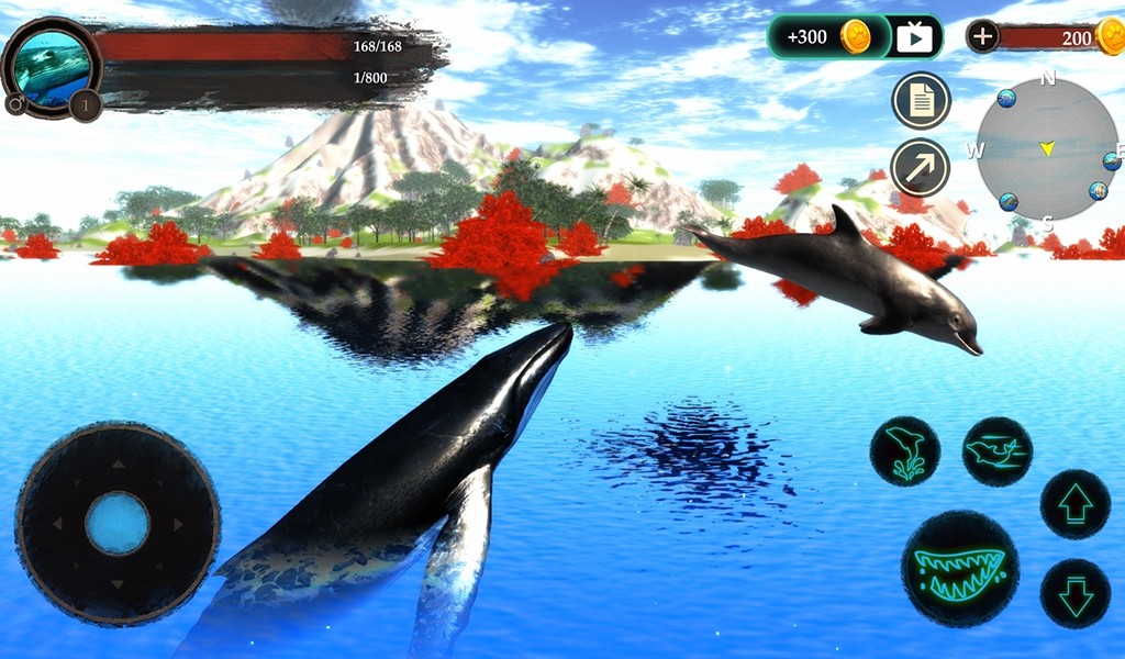 The Humpback Whales(^L)1.0.2׿؈D3