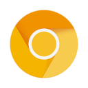 Chrome Canary(˿ȸ)131.0.6745.0°