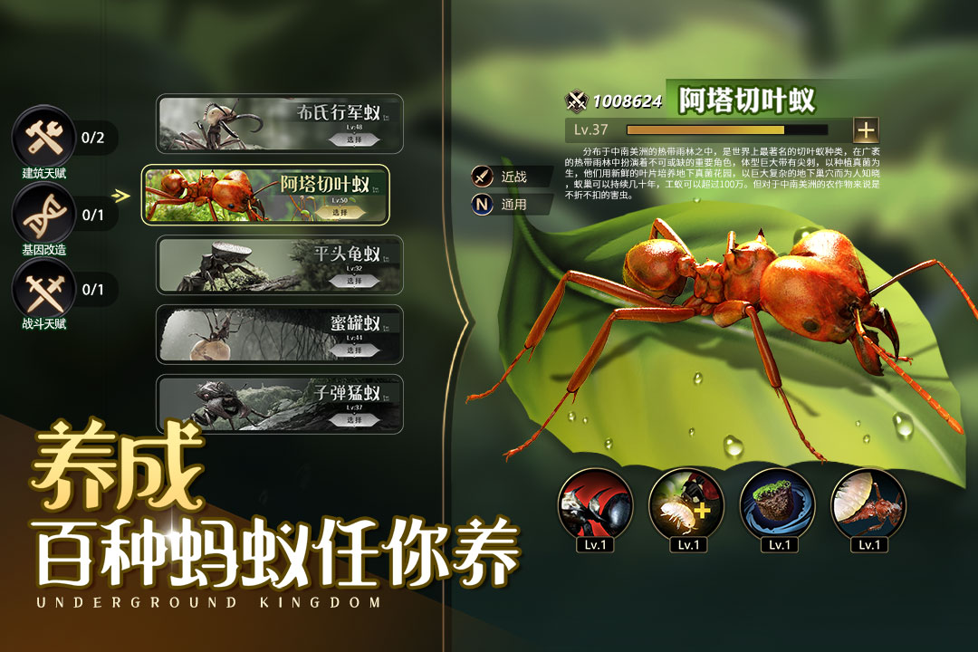 小小蚁国最新版中文版1.58.0安卓版截图4