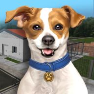 (dng)İ(Animal Shelter Simulator)1.00׿