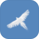 Sky Bird(֮)1.0.4׿