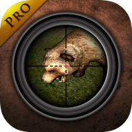 ɭCΑ(Forest Hunting)2.2׿