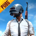 ʷ°(BETA PUBG MOBILE)3.6.3°