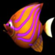 bigfisheatsmallfish1.0׿