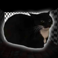 ҹg׷ģM°(Night Maxwell Cat Simulator)7.5׿