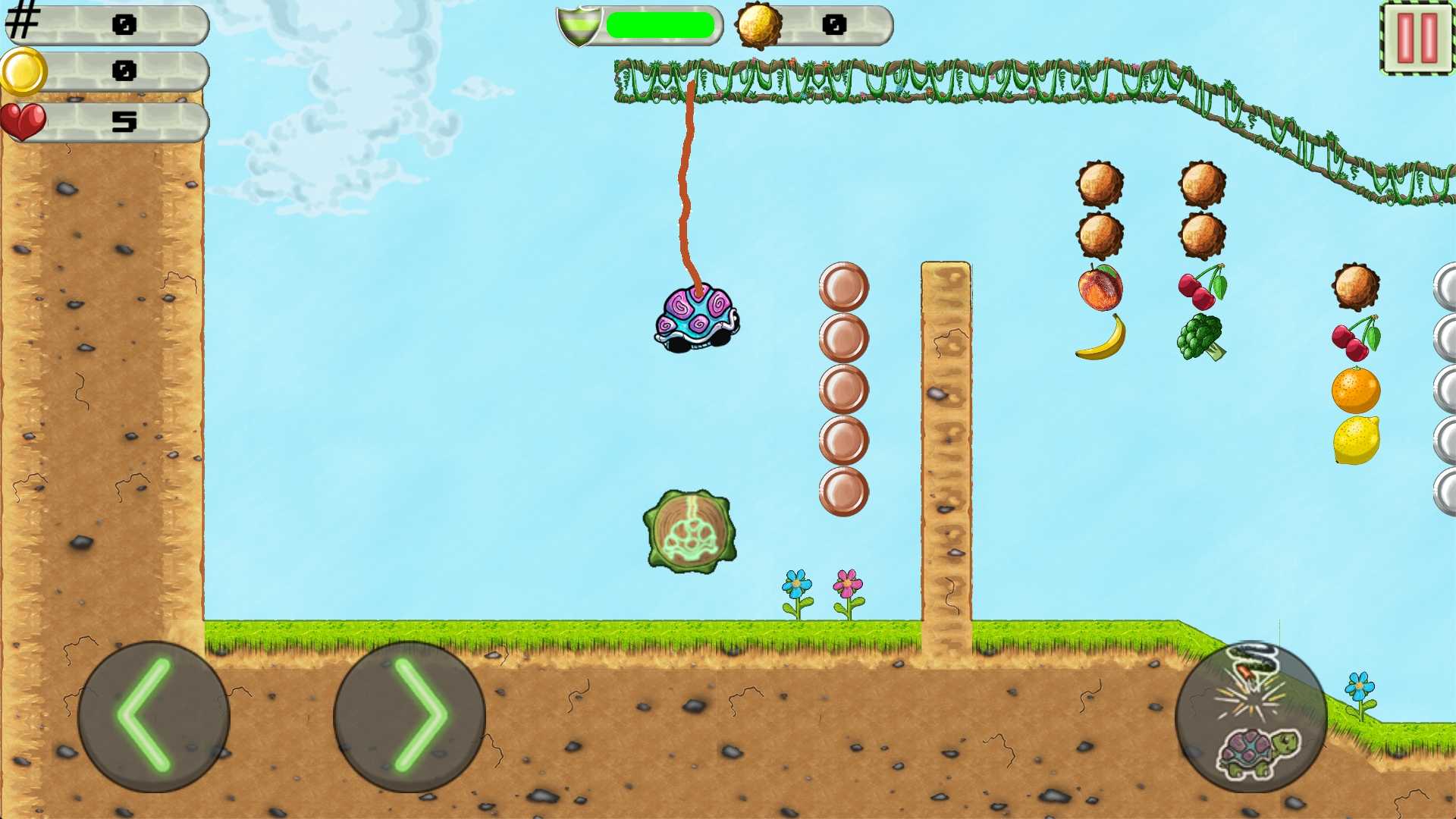 ĘO°(Bungee Turtle)1.5׿؈D3