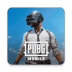 pubgmobile°汾3.5.0׿