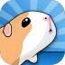 (GUINEA PIG BRIDGE)9.2.4İ