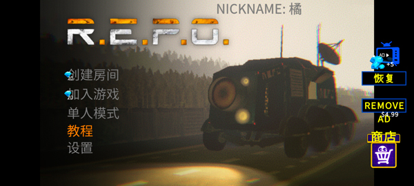REPO