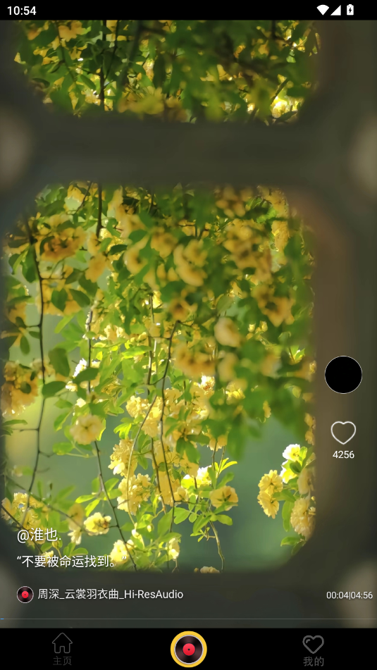 pOٰ1.0.8.0׿؈D0