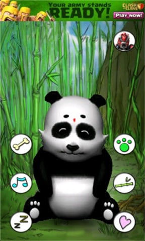 Talking Panda Free(fԒ؈)1.8؈D3