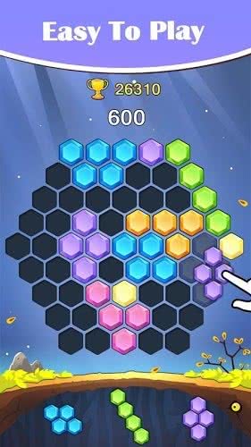 Hex Puzzle(i})1.0.6׿؈D2