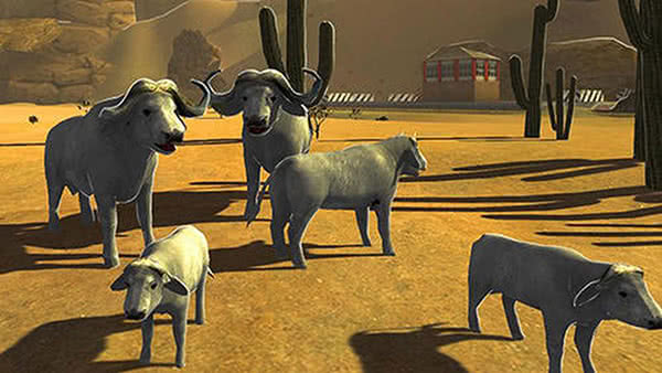 Buffalo Sim: Bull Wild Life(ģţ Buffalo Sim:Bull Wild Lifeٷ)1.0ͼ1