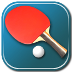 Virtual Table Tennis 3D(ƹ)