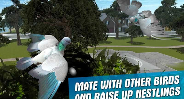 City Bird Pigeon Simulator 3D(֮ģM3D)1.2.0؈D2