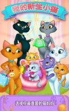 NewbornKittyҵС؈1.0.9؈D4