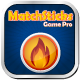 Matchsticks Game Pro(Α)1.5׿