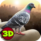 City Bird Pigeon Simulator 3D(֮ģM3D)1.2.0