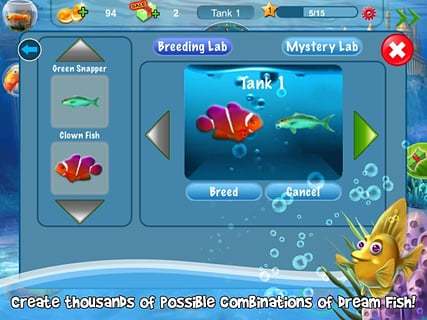 DreamFish(B(yng)~)4.62؈D0