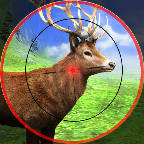 Deer Hunting Sniper Safari - Animals Hunt(¹Cѓ)1.2