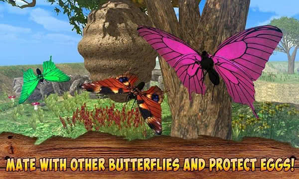 ģM3D Butterfly Insect Simulator 3DٷX1.0؈D2