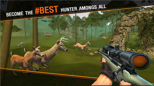 Deer Hunting Sniper Safari - Animals Hunt(¹Cѓ)1.2؈D2