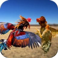 Farm Deadly Rooster Fighting(ݏ)1.0׿