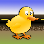 Duck Crossing(Ѽ)