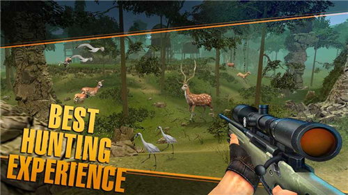 Deer Hunting Sniper Safari - Animals Hunt(¹Cѓ)1.2؈D4