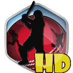 Box Cricket International 2014 HD(ڴ)1.0׿
