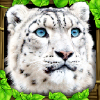 Leopard Sim(ѩģM)1.2ٷ