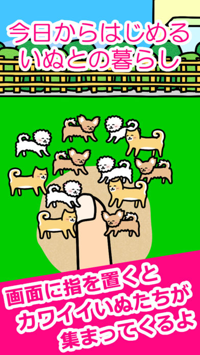 Play with Dogs(cСˣ)1.0.0؈D0