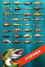 Lets Fish: Fishing Simulator׌҂~ɣ(jng)~Α4.2.1؈D2