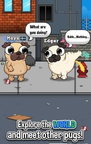 ҵČﹷPug1.1؈D0