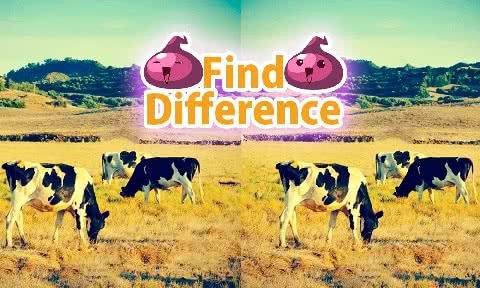 Find Difference 40(Ҳͬ 40)1.6.0׿؈D0