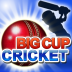 Big Cup Cricket Free()1.4.0׿