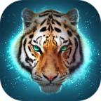 TheTiger()1.2ٷ