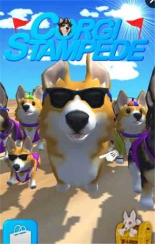 ıܹ(ji)Corgi Stampede1.3؈D3