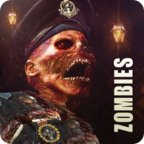 World War Zombies(սʬ)
