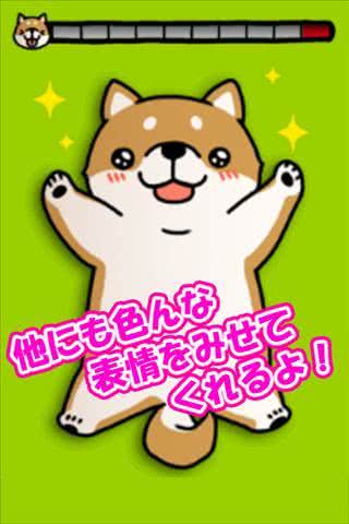  Tickling dog1.1׿؈D2