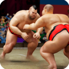 Sumo Stars Wrestling(ˤ2018  Sumo Stars Wre)