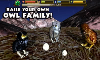 Owl Simulator(؈^ģM)1׿؈D1