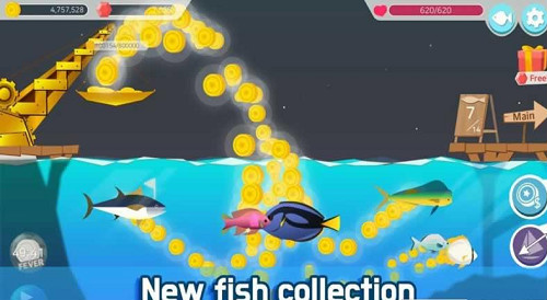 Fishing Adventure(~(y)֮)1.6؈D2